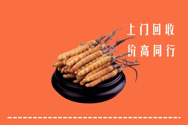 高价求购：侯马市回收散虫草
