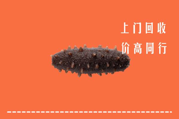 侯马市回收海参