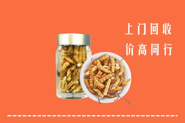 侯马市高价回收冬虫夏草